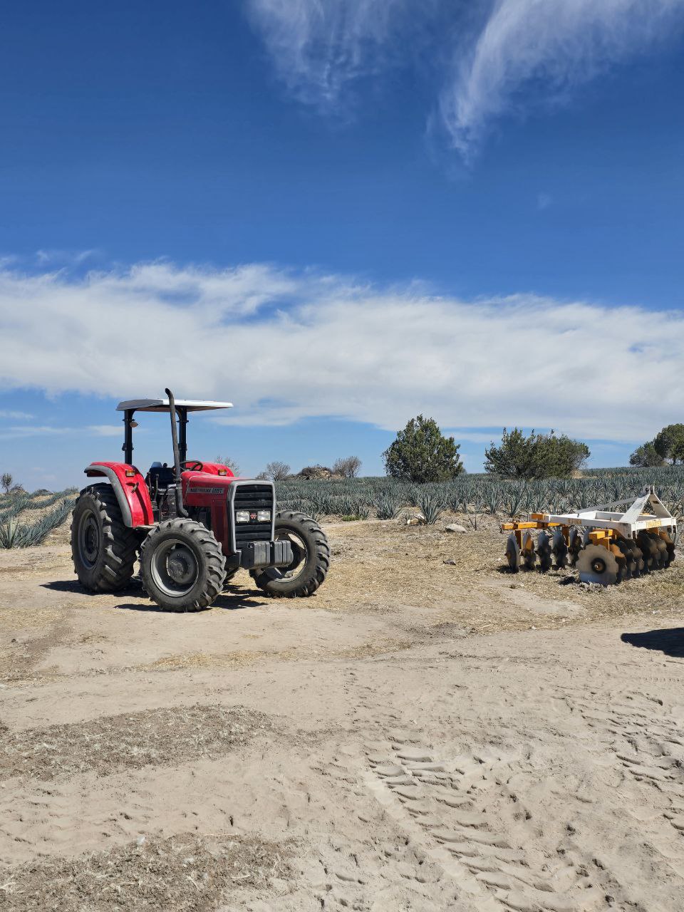 Tractor en campo de agave en Mexico